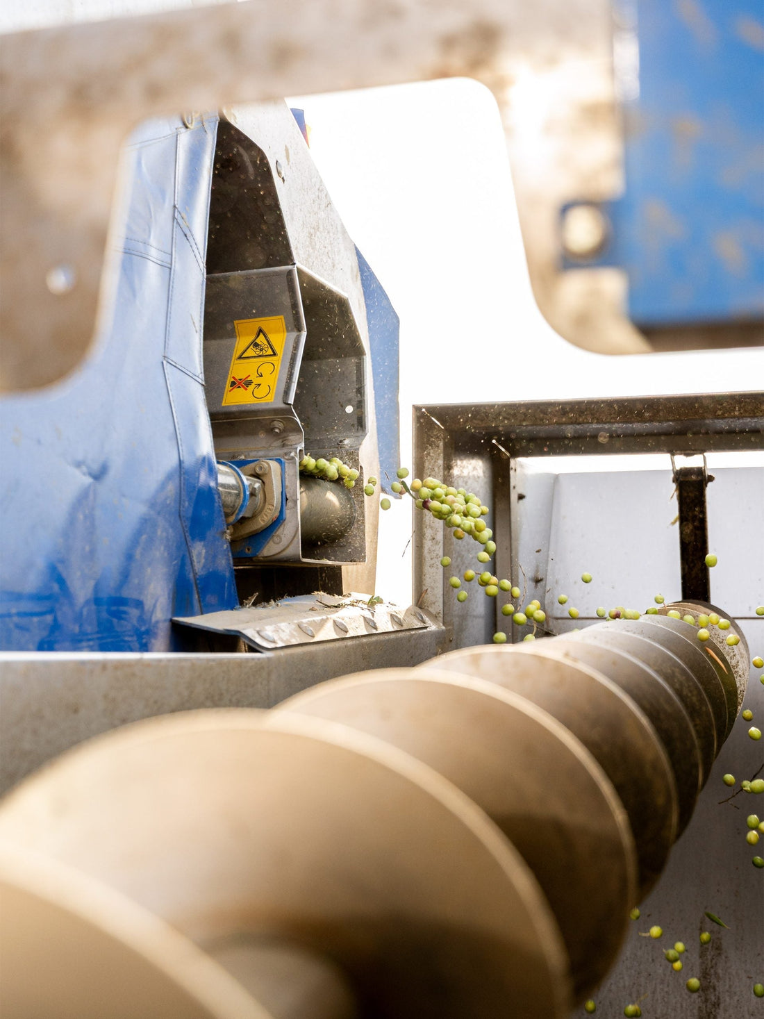 COMIENZA LA COSECHA 2025/2026 EN ALMAZARA RIOJANA