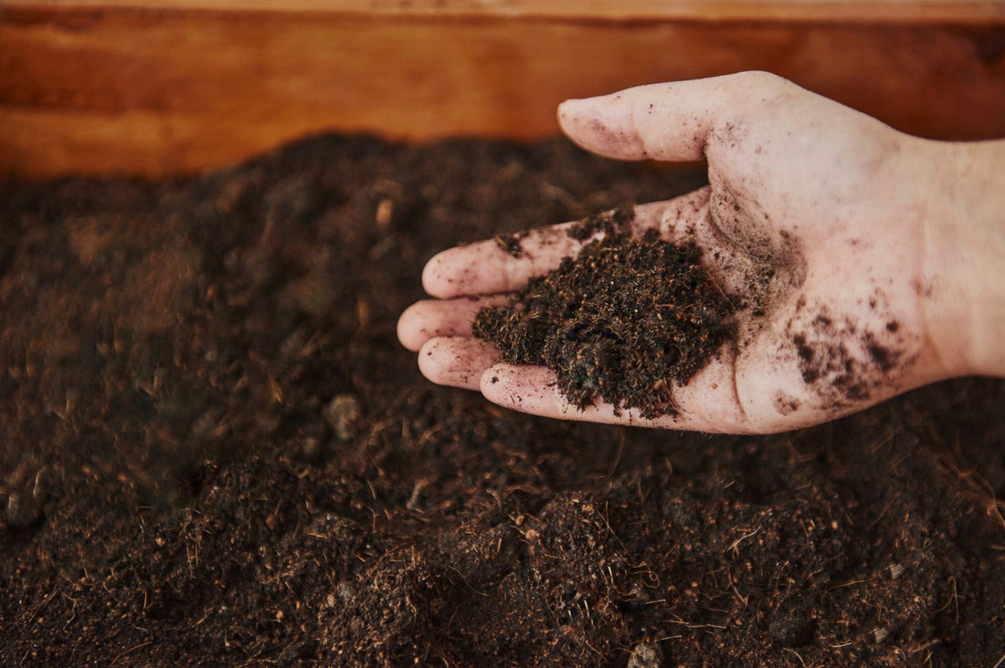 ABONADO EN NUESTROS OLIVOS: COMPROMISO CON LA TIERRA