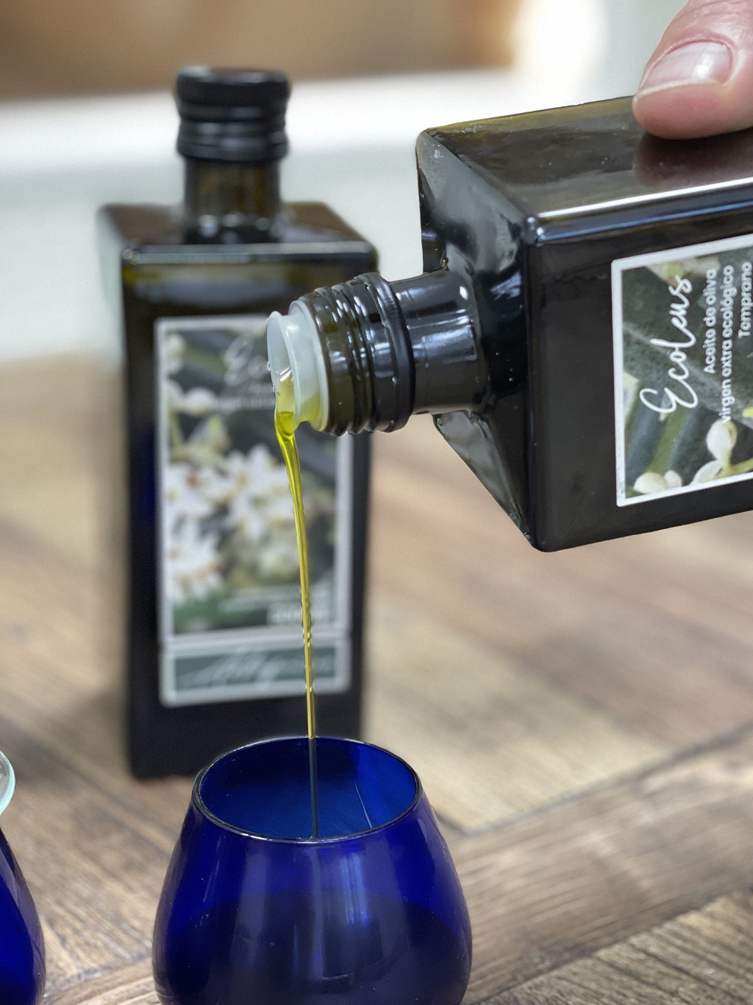 TE ENSEÑAMOS CÓMO CATAR NUESTRO ACEITE DE OLIVA