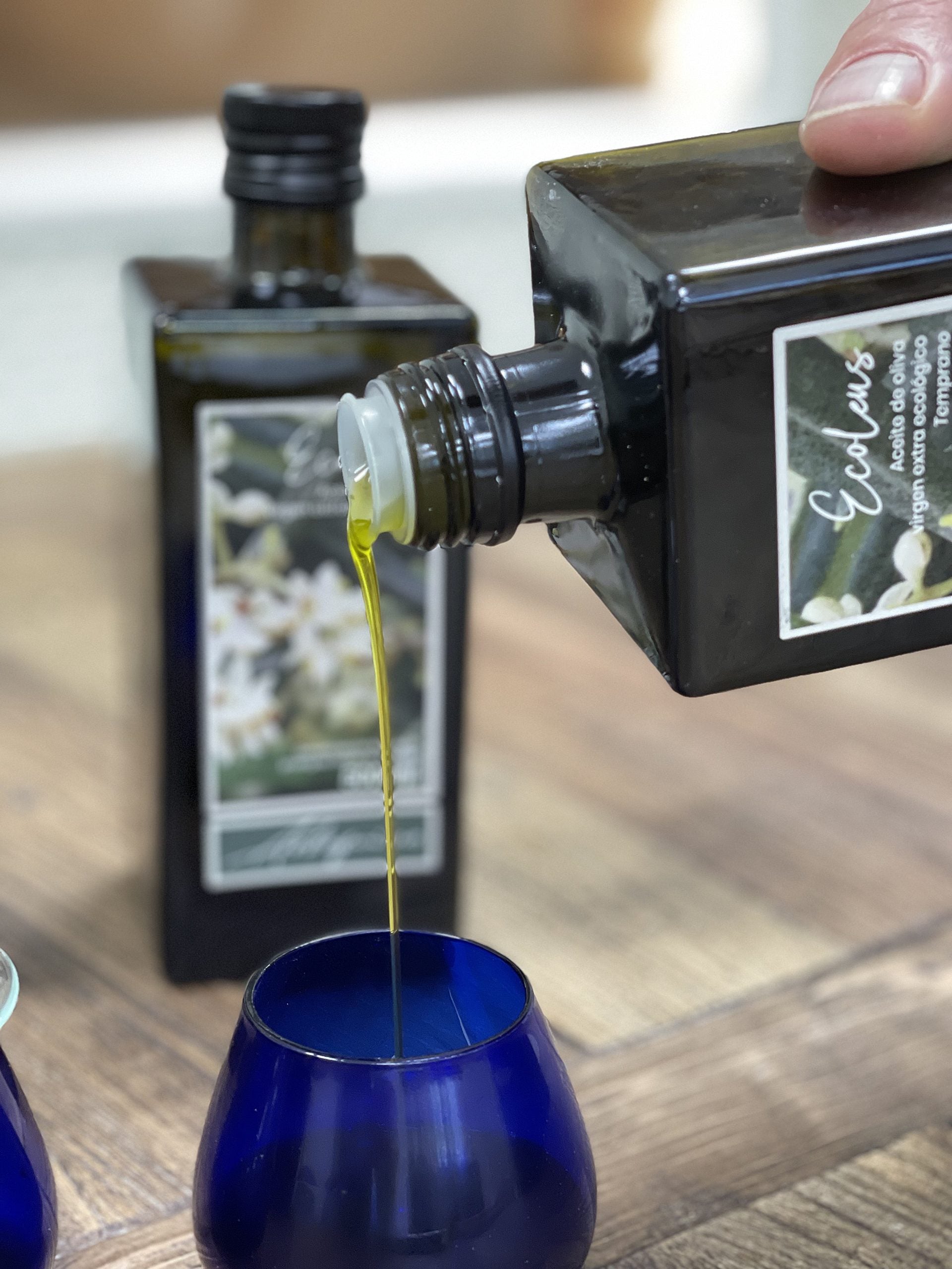 TE ENSEÑAMOS CÓMO CATAR NUESTRO ACEITE DE OLIVA