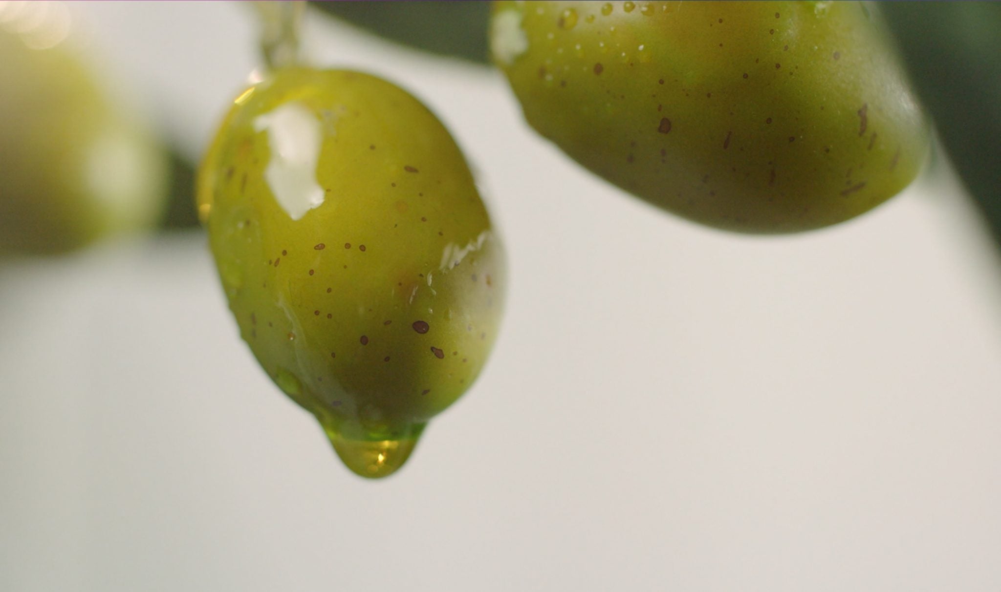 TU SALUD CARDIOVASCULAR PROTEGIDA CON ACEITE DE OLIVA VIRGEN