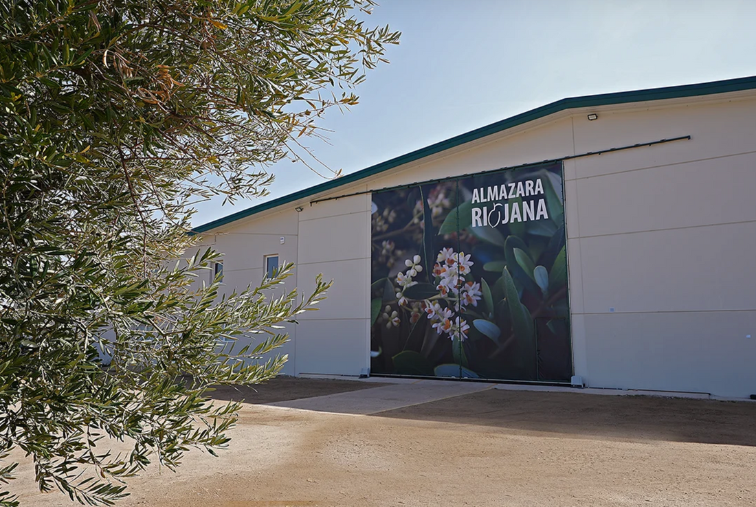 UN CIERRE DE AÑO LLENO DE SATISFACCIONES