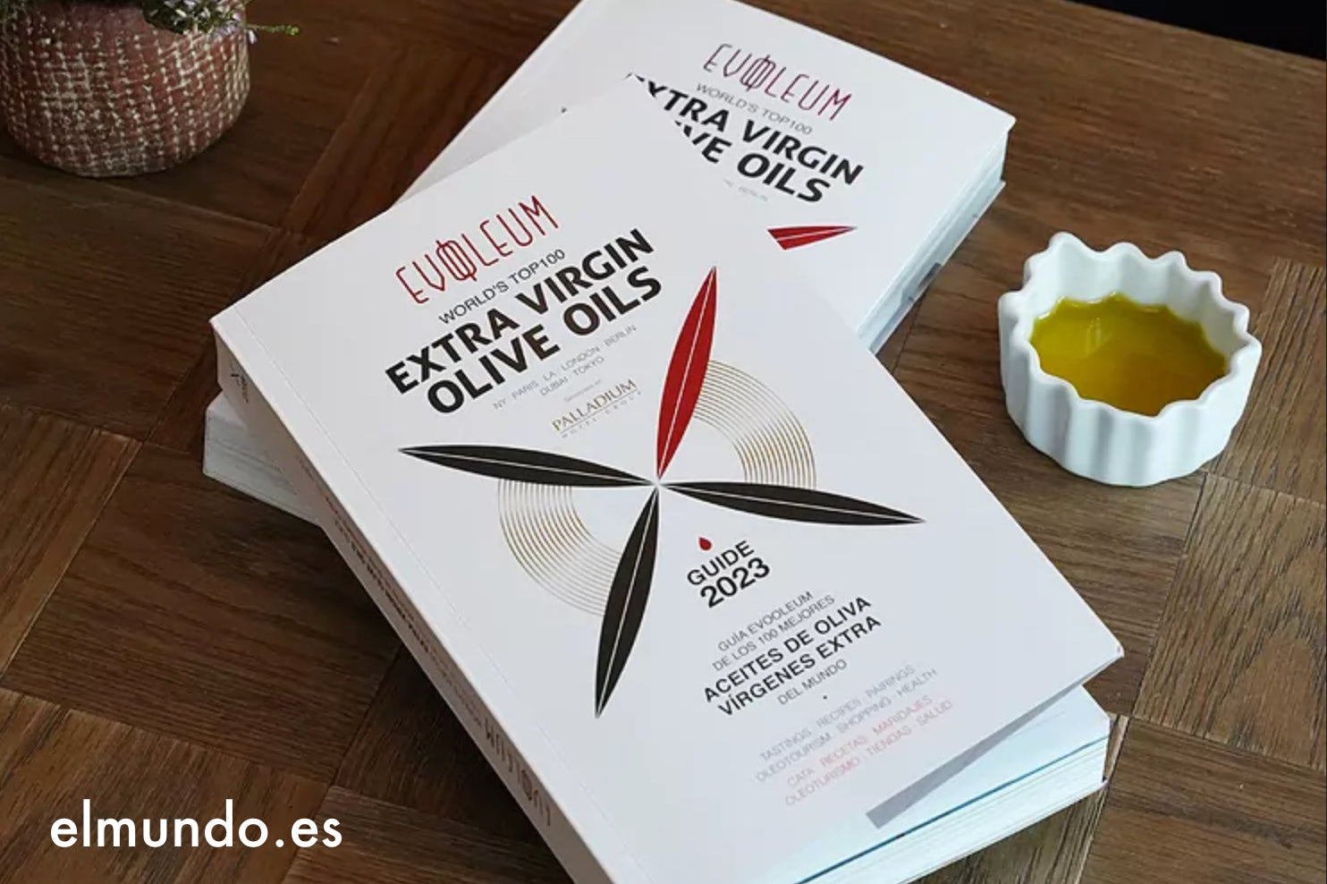 ECOLEUS: ENTRE LOS MEJORES DEL MUNDO