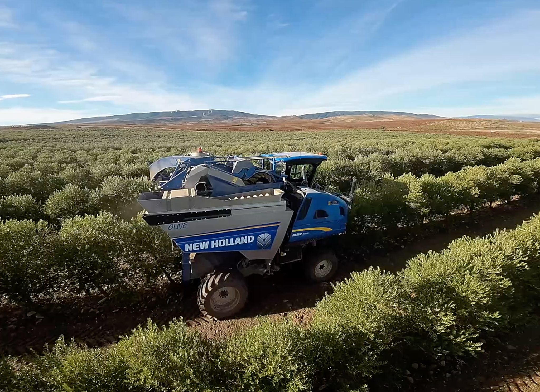 ALMAZARA RIOJANA CAMPAÑA 2023-2024